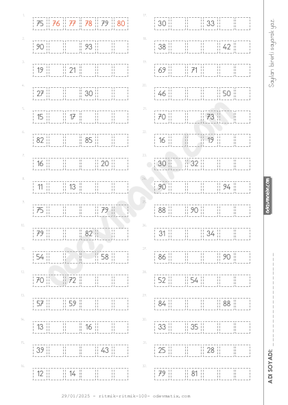 1.Sınıf Birer Ritmik Sayma (100'e kadar)