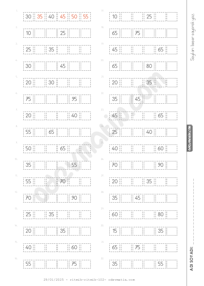 1.Sınıf Beşer Ritmik Sayma (100'e kadar)