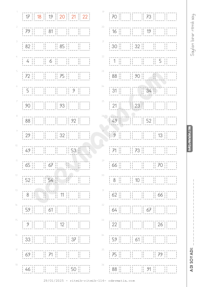 2.Sınıf Birer İleri Ritmik Sayma