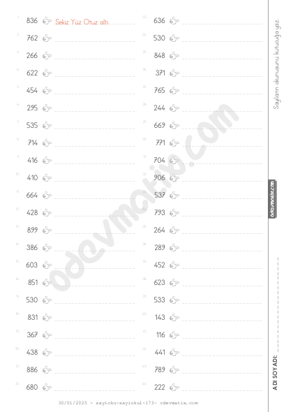 3.Sınıf Sayı Okuma