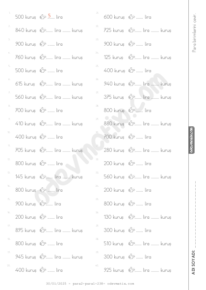 3.Sınıf Kuruş-Lira Çevrimi