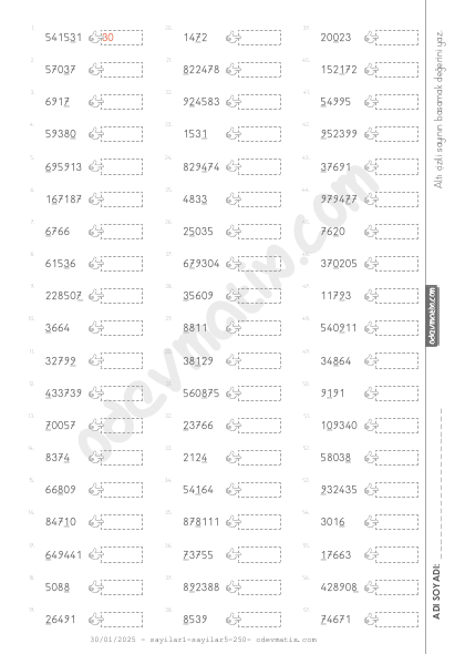 4.Sınıf Basamak Değerini Bulma