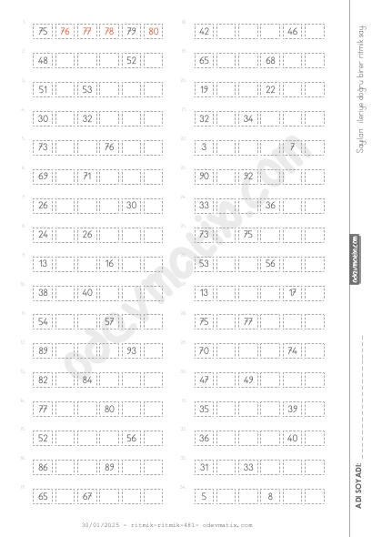 3.Sınıf Birer İleri Ritmik Sayma (100'e Kadar)