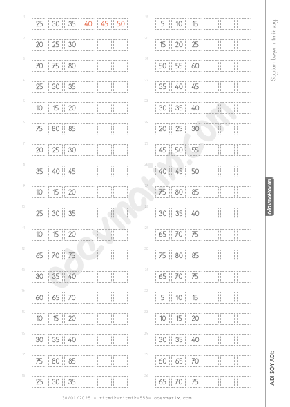 2.Sınıf Beşer İleri Kolay Ritmik Sayma