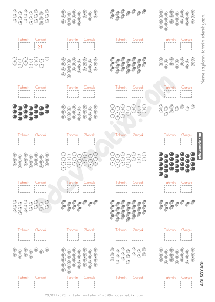 2.Sınıf Nesne Sayısını Tahmin Etme